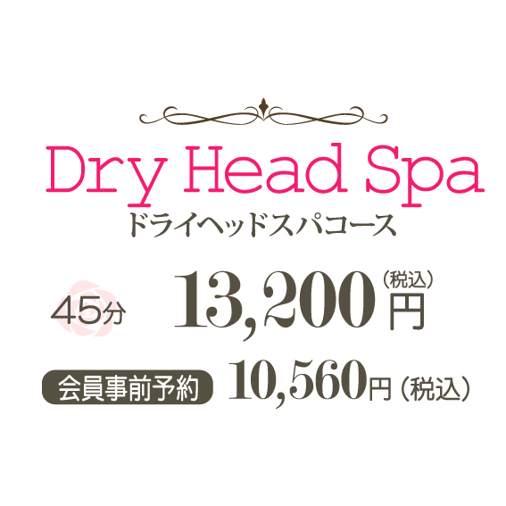 ドライヘッドスパ