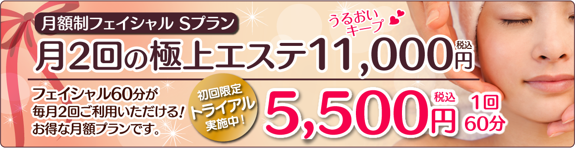 月額制フェイシャルSプラン