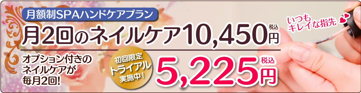 月額制SPAハンドケアプラン